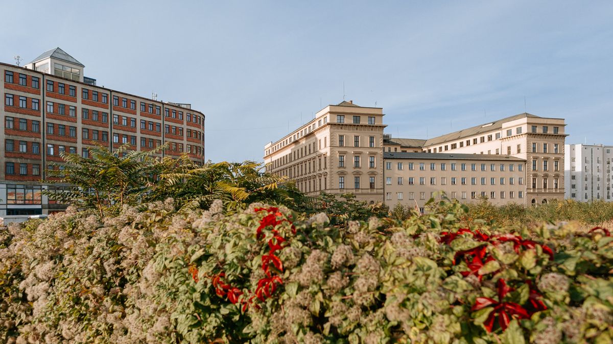 Úřady rozeseté na 15 místech po Brně. Magistrát je chce sjednotit v nové budově